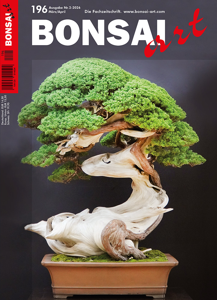 Abonnement Deutschland