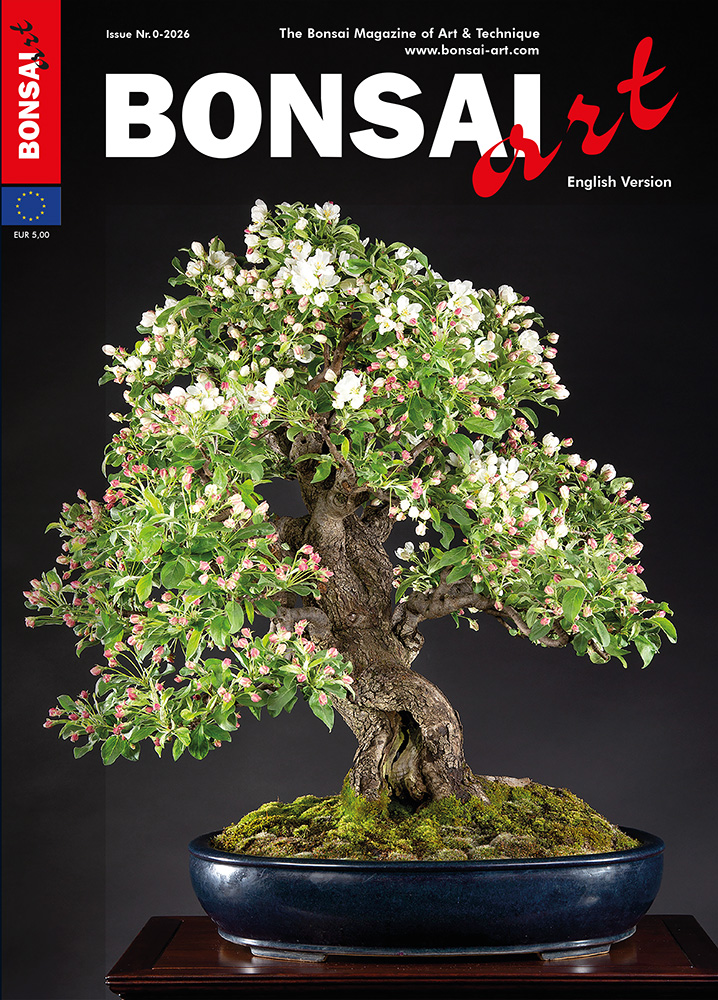 Logo:Regular Magazine Subscription