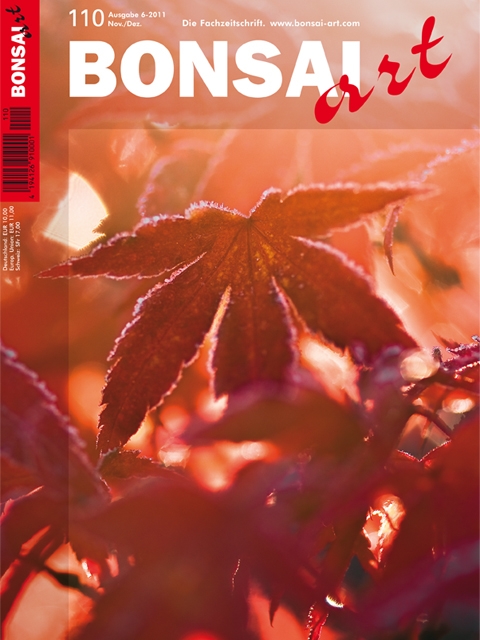Logo:BONSAI ART 110