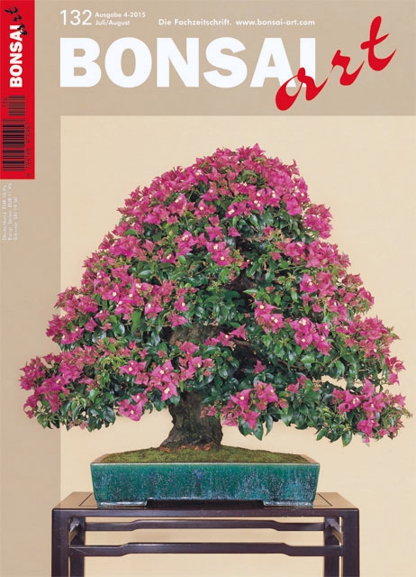 Logo:BONSAI ART 132