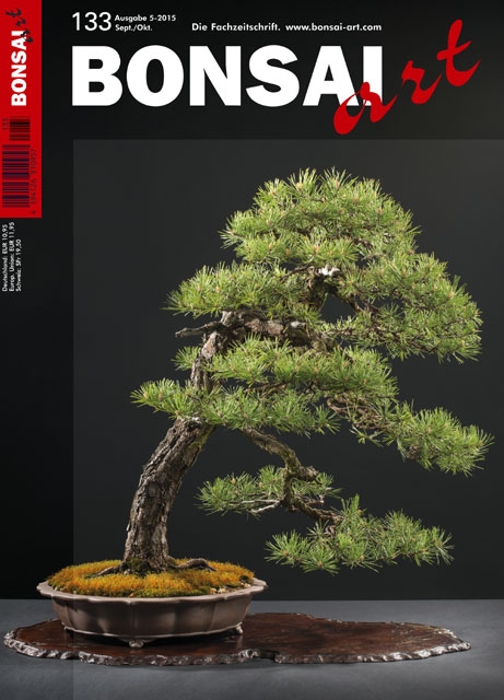 Logo:BONSAI ART 133