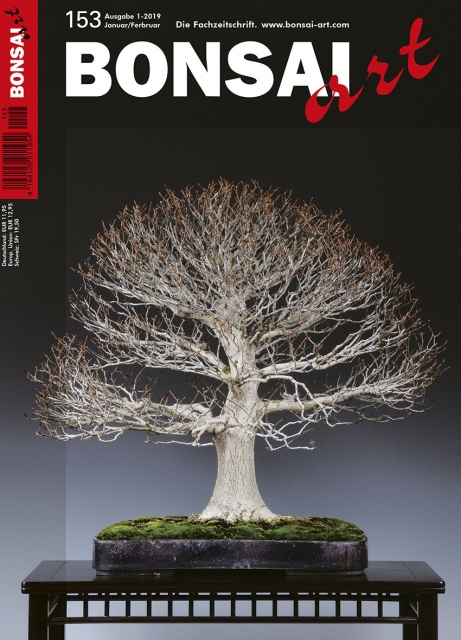 Logo:BONSAI ART 153