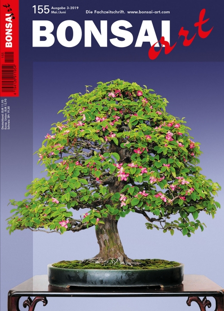 Logo:BONSAI ART 155