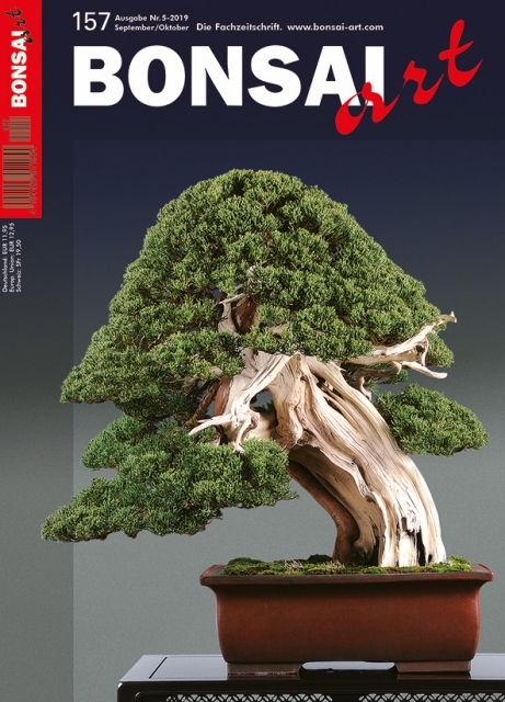 Logo:BONSAI ART 157