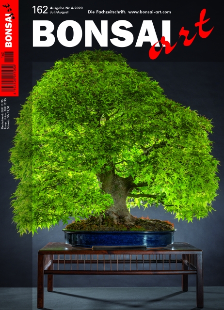 Logo:BONSAI ART 162