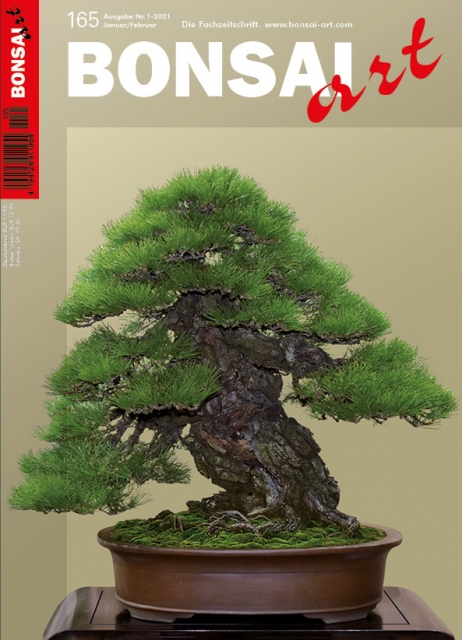 Logo:BONSAI ART 165