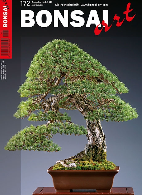 Logo:BONSAI ART 172