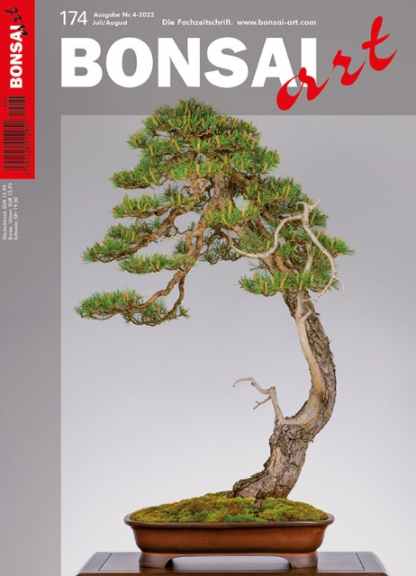 Logo:BONSAI ART 174