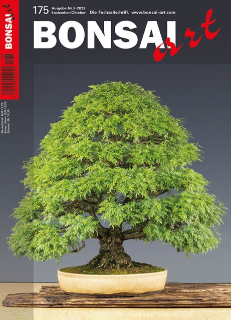 Logo:BONSAI ART 175