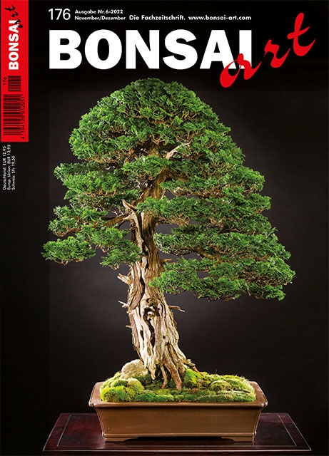 Logo:BONSAI ART 176