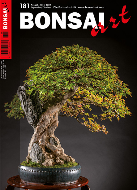 Logo:BONSAI ART 181