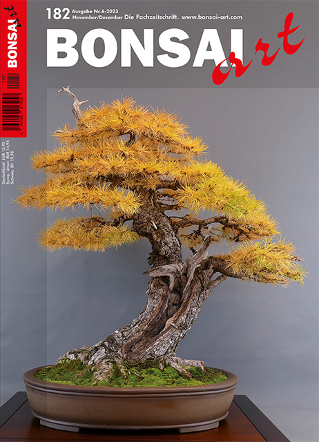 Logo:BONSAI ART 182