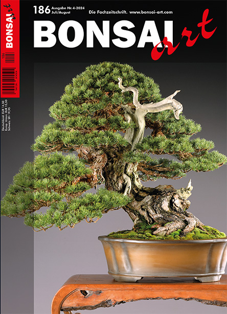 Logo:BONSAI ART 186