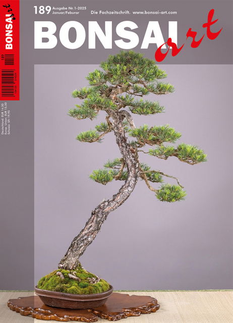 Logo:BONSAI ART 189