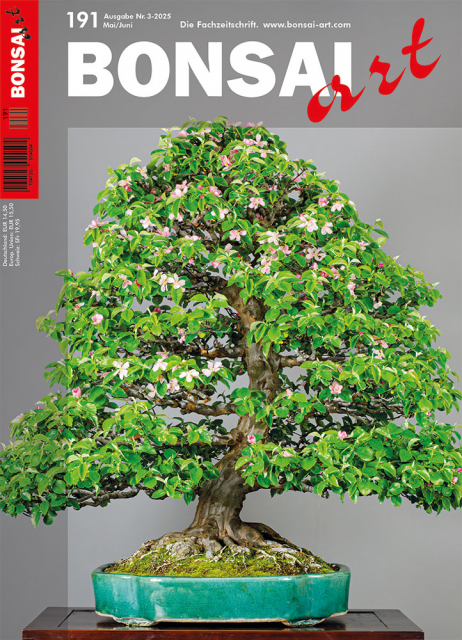 Logo:BONSAI ART 191