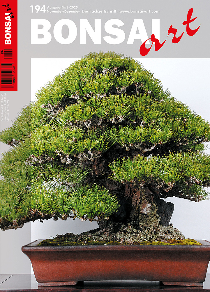 Logo:BONSAI ART 194
