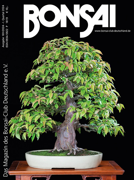 Logo:BCD BONSAI 181
