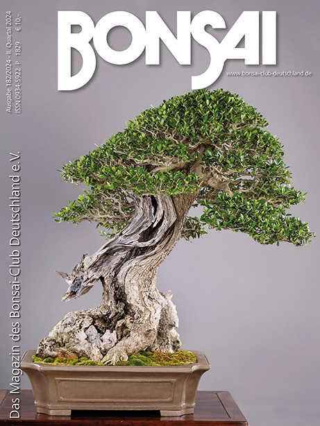 Logo:BCD BONSAI 182