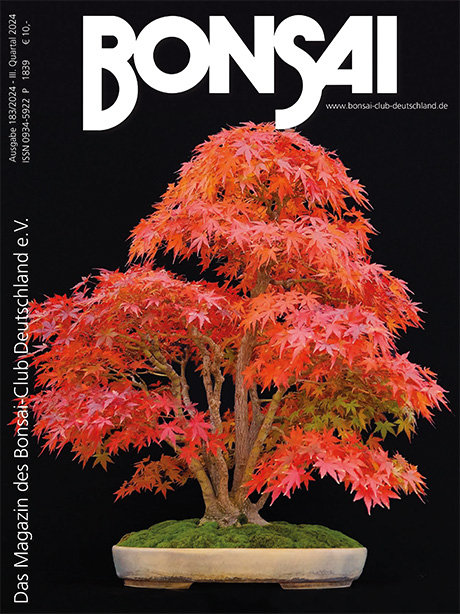 Logo:BCD BONSAI 183