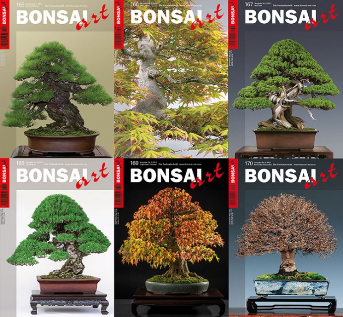 Logo:BONSAI ART Jahrgang 2021