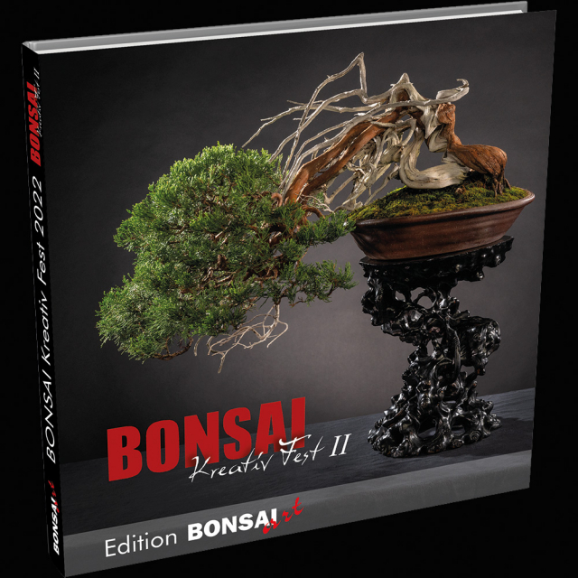 Logo:Bonsai-Kreativ Fest II