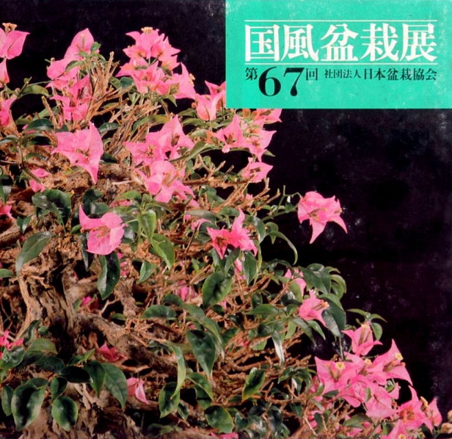 Logo:Kokufu 67 (gebraucht)