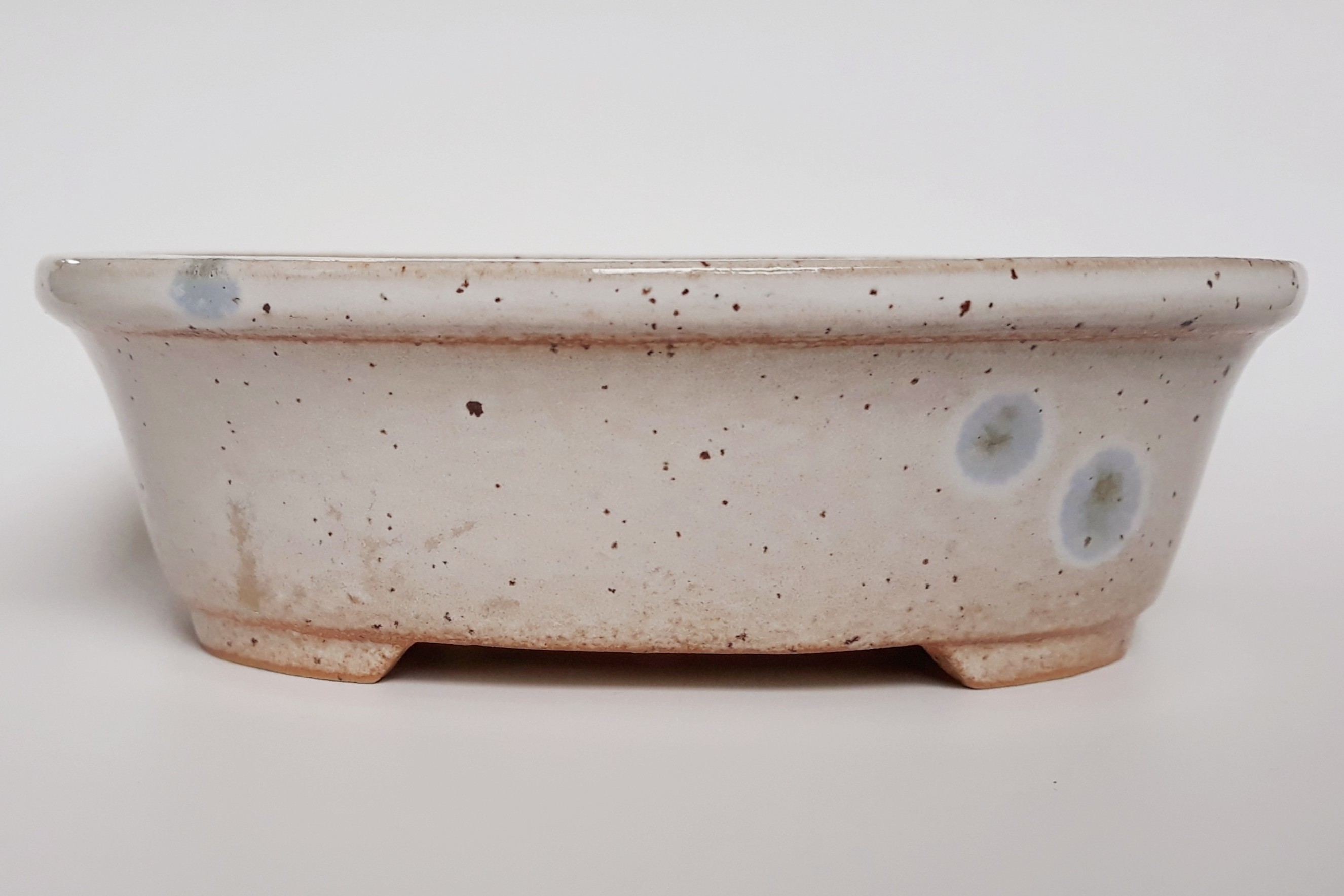 Logo:Keramikschale mit Air Pruning