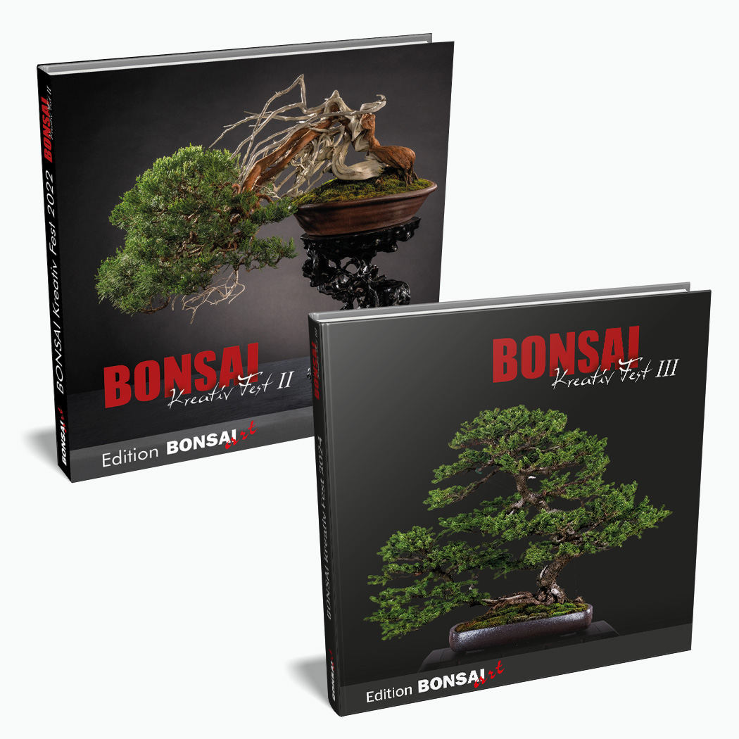 Logo:Bundle Bonsai-Kreativ Fest II + III
